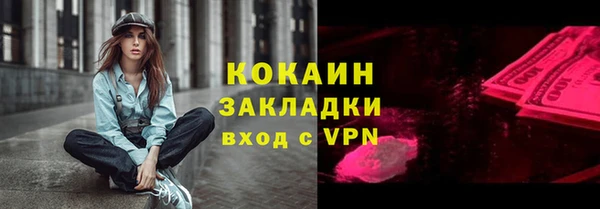 МДПВ Снежинск
