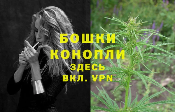шишки Богданович
