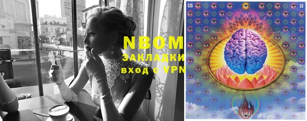 шишки Богданович