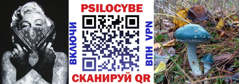 Псилоцибиновые грибы MAGIC MUSHROOMS  Кирс 