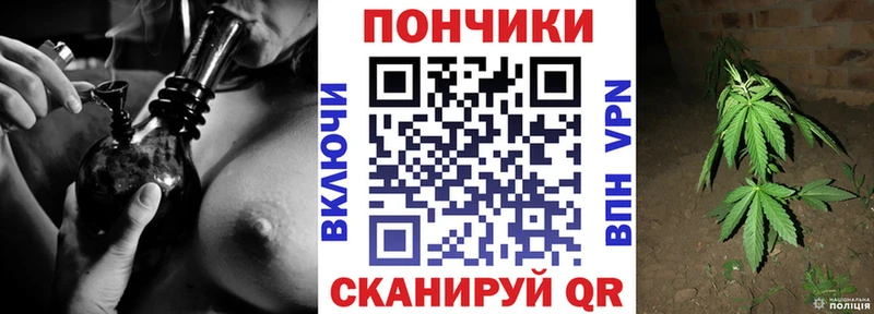 Канабис OG Kush  Кирс 
